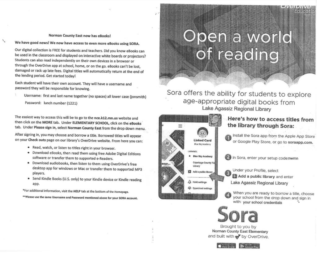 Sora Library Book Checkout Information