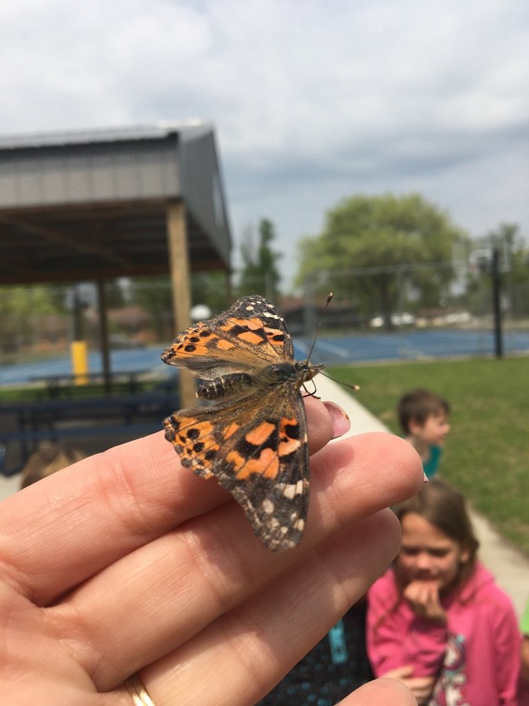 Second graders and their butterflies on release day.